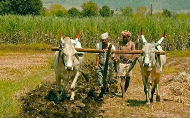 monsoon hardship for farmers